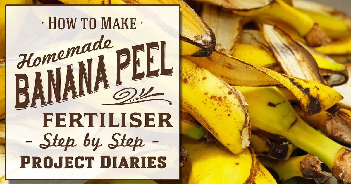 banana peel fertilizer