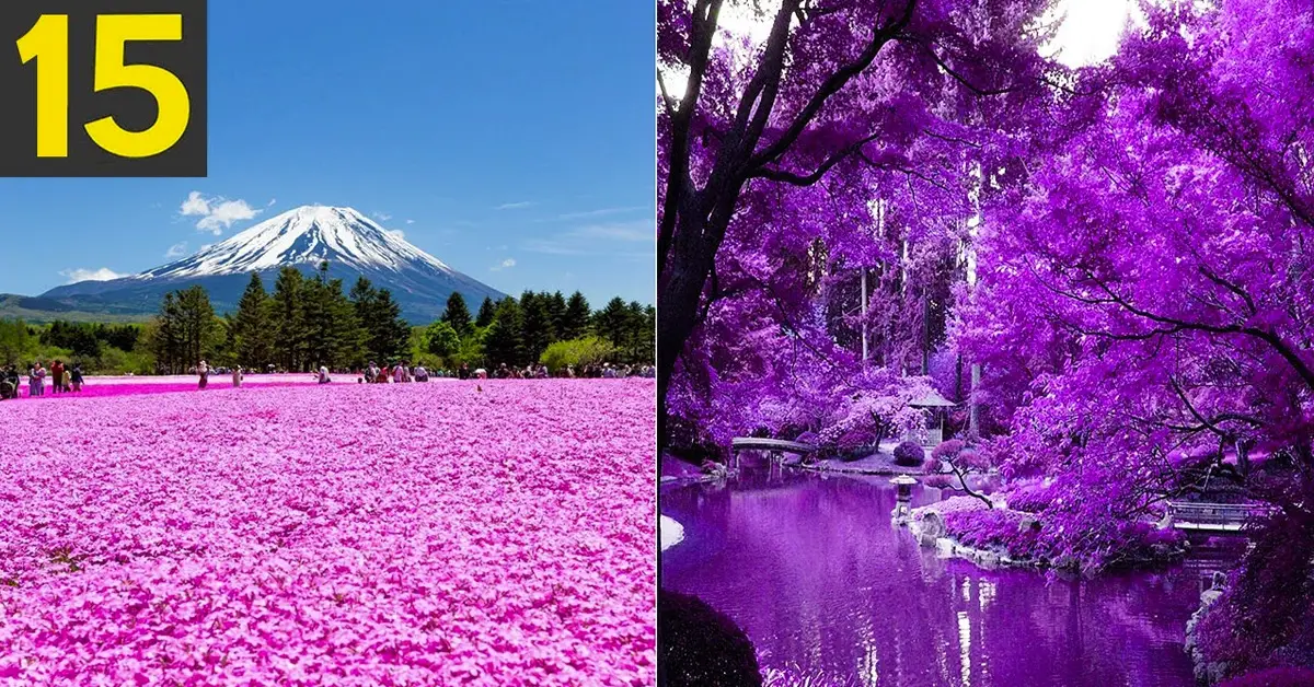beautiful gardens