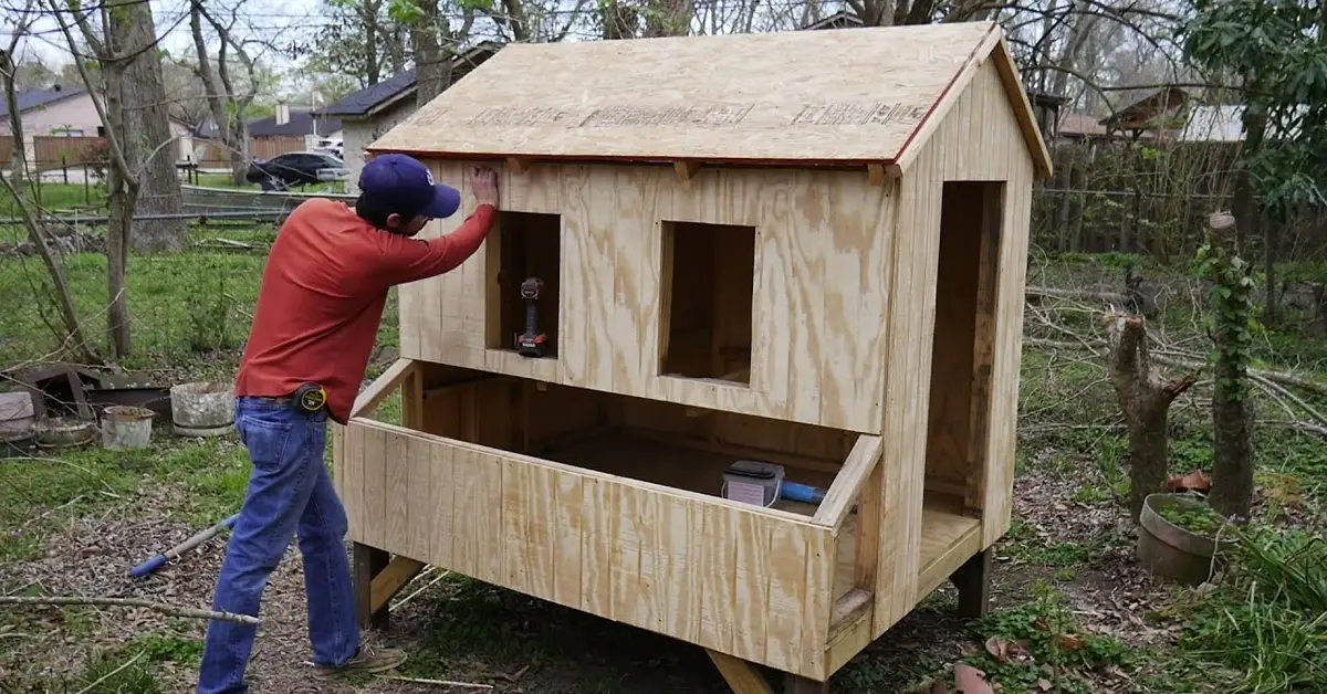 chicken coop