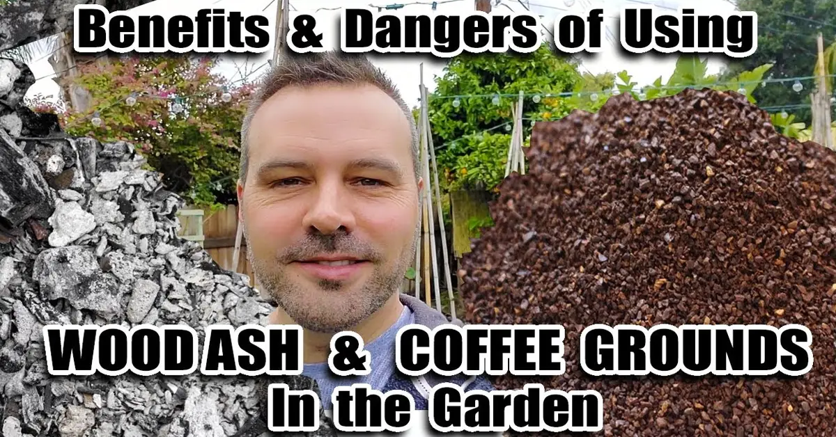 wood ash and coffee grounds