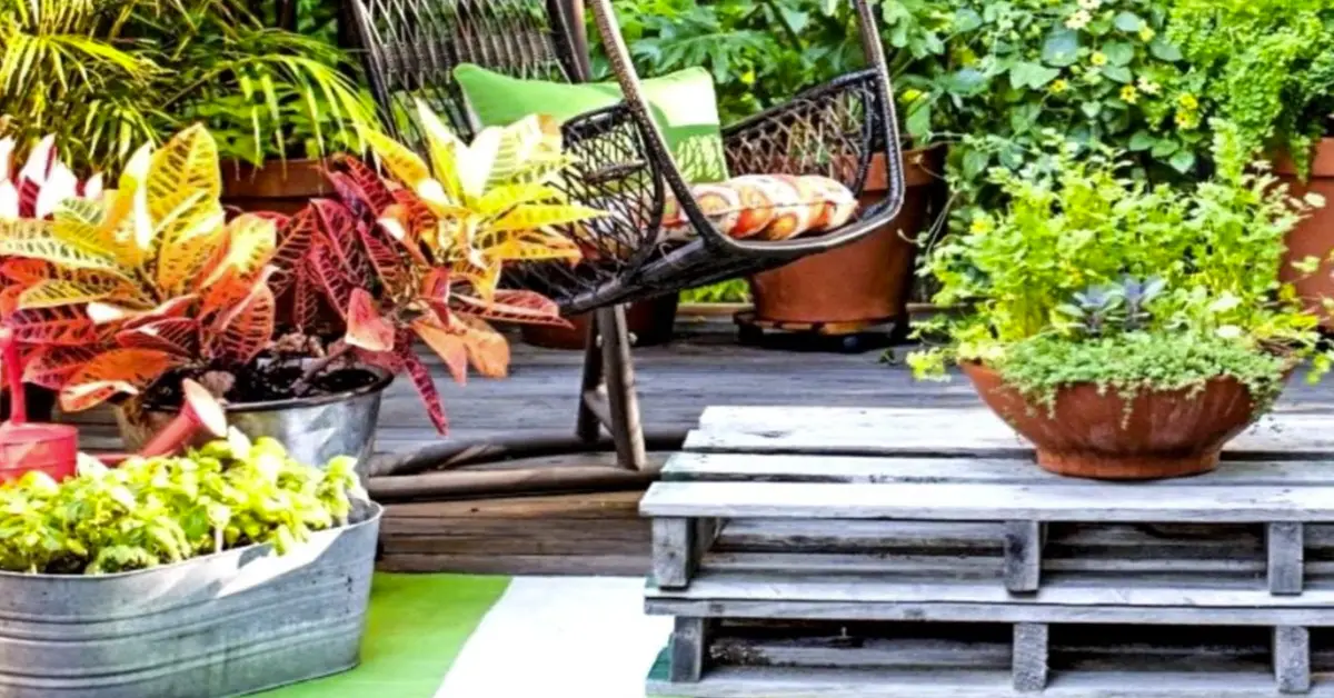 container gardening