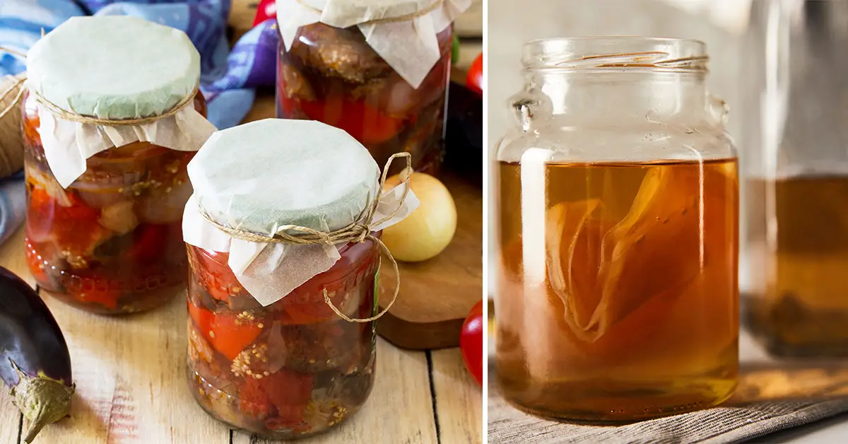 fermented foods