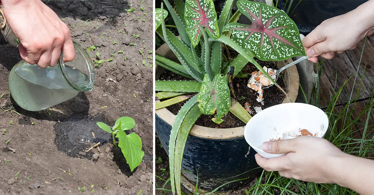 garden hacks