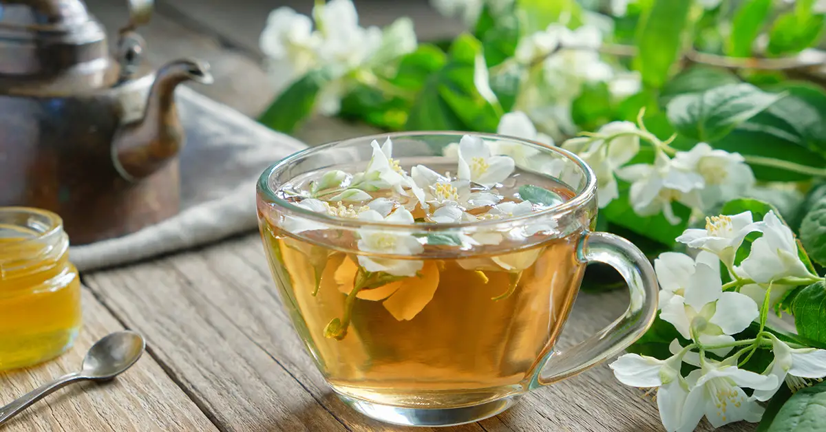 herbal tea