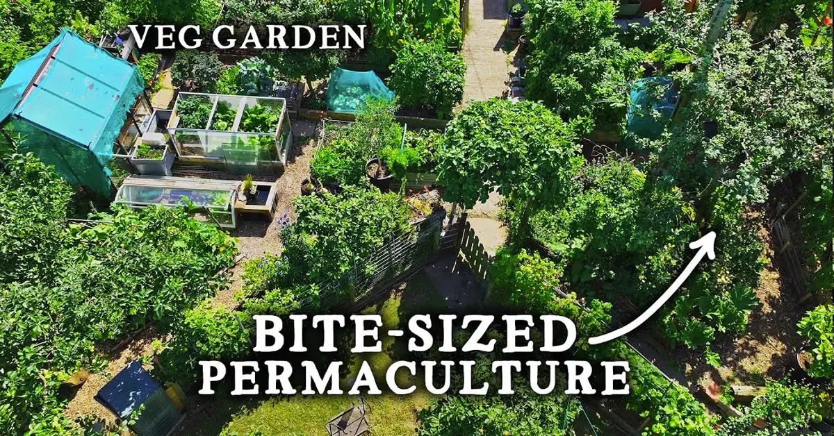 permaculture garden