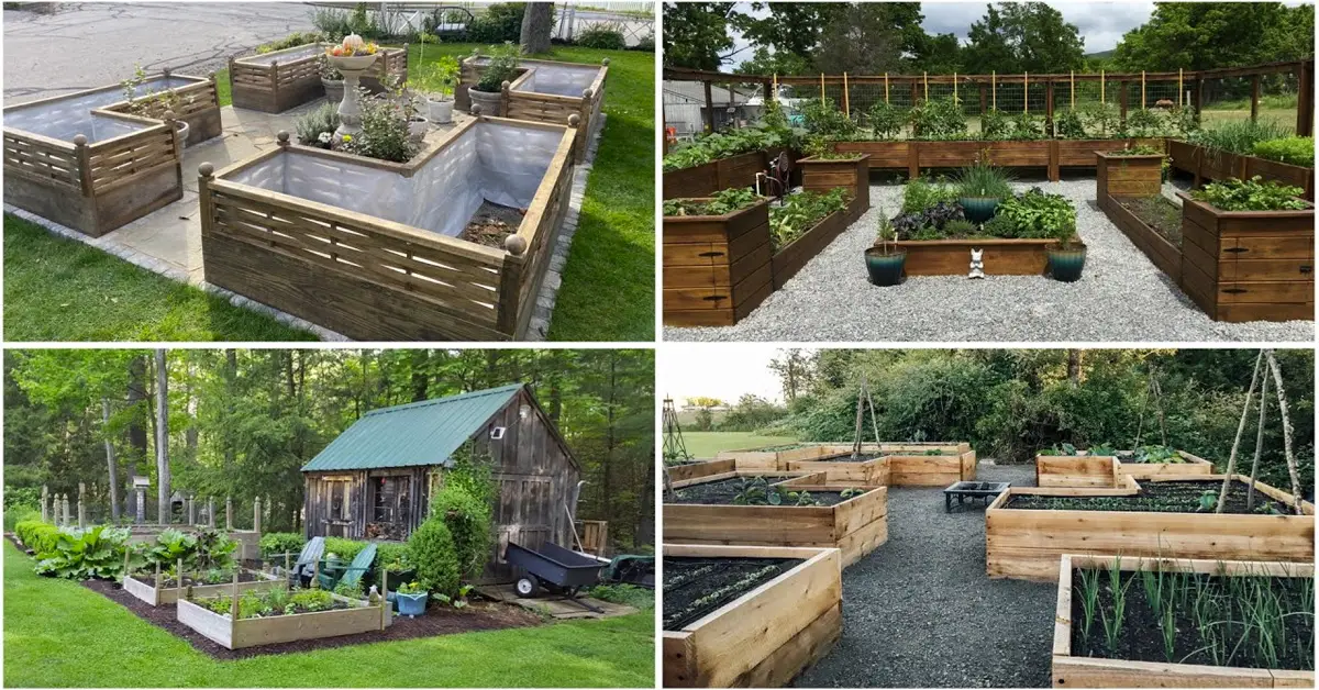raised garden beds