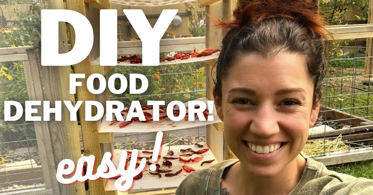 solar food dehydrator