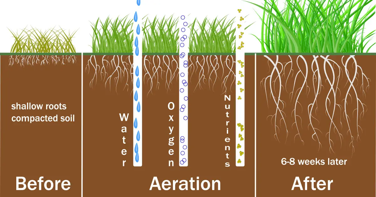 aeration