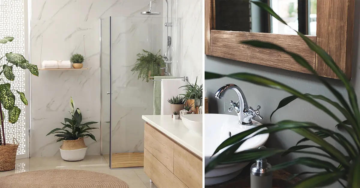 bathroom plants