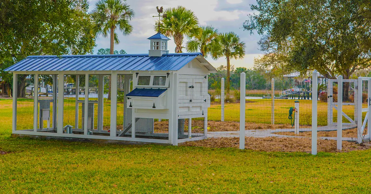 chicken coop