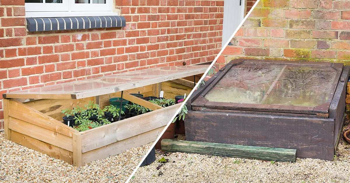cold frame