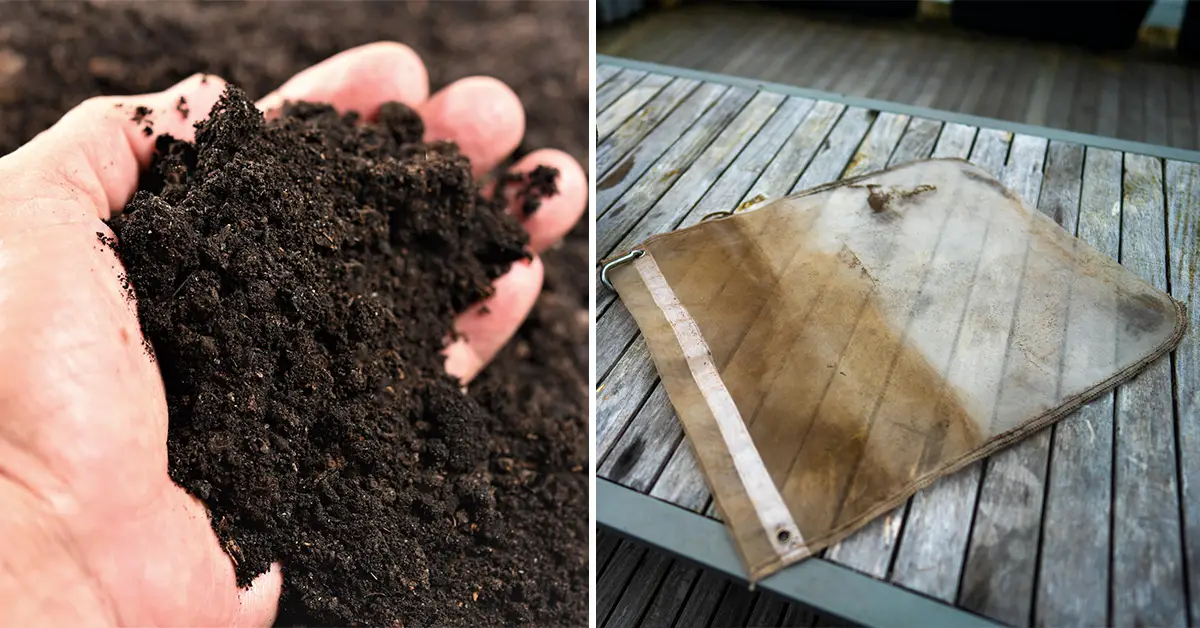 compost tea