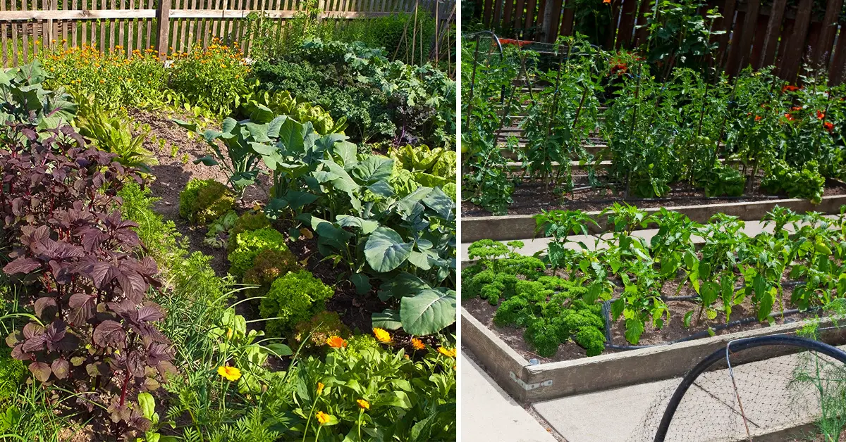 emergency garden