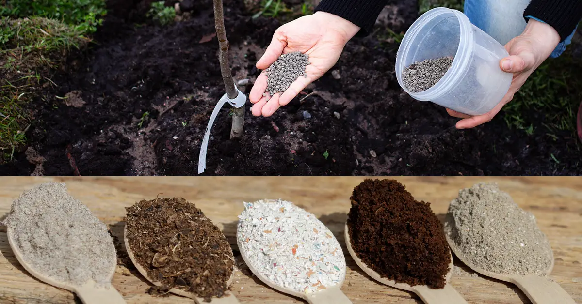 organic fertilizers