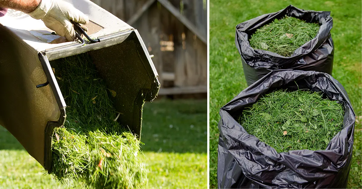 Bests Uses for Grass Clippings - Never Waste This Valuable Resource