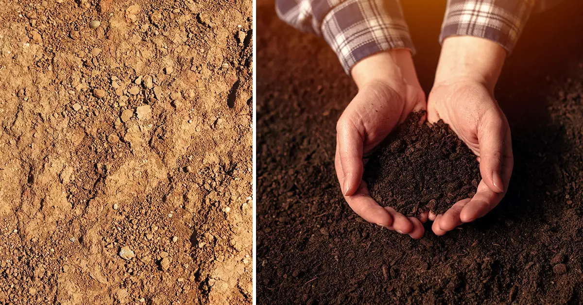transform soil