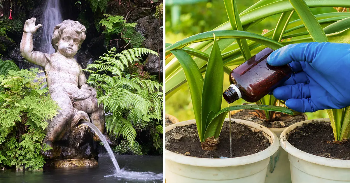 urine in the garden