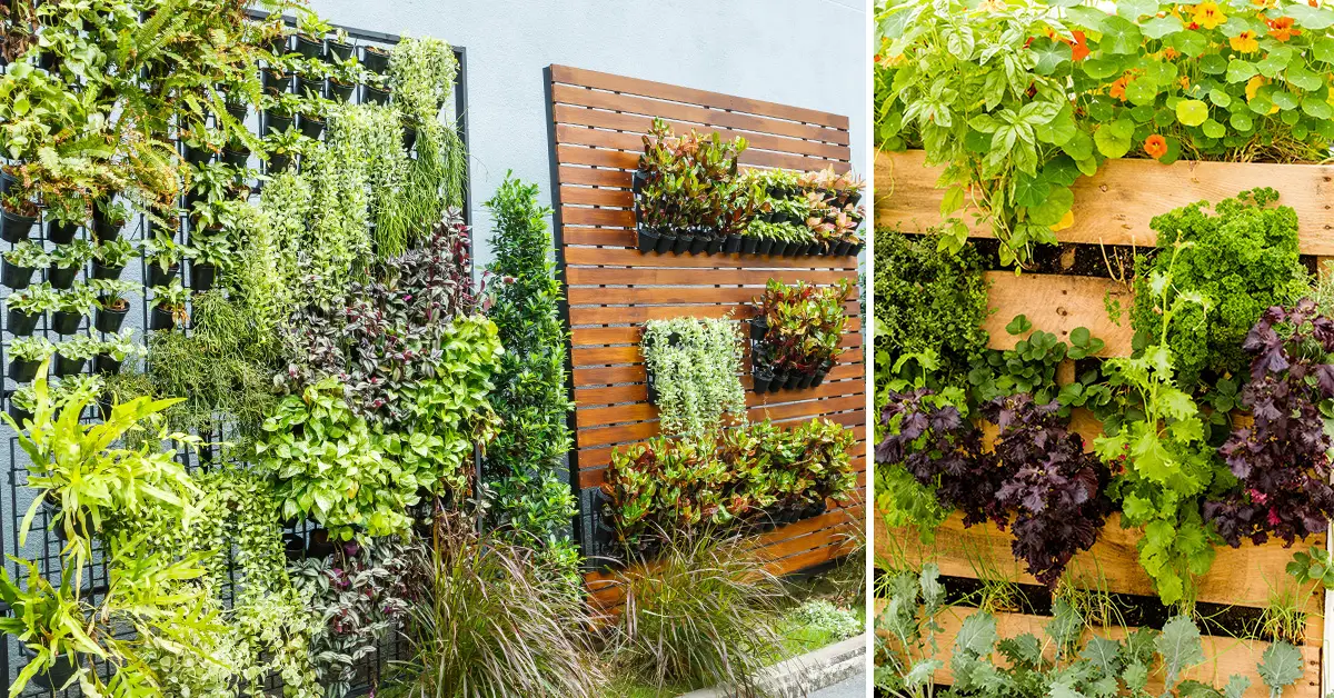 vertical gardening