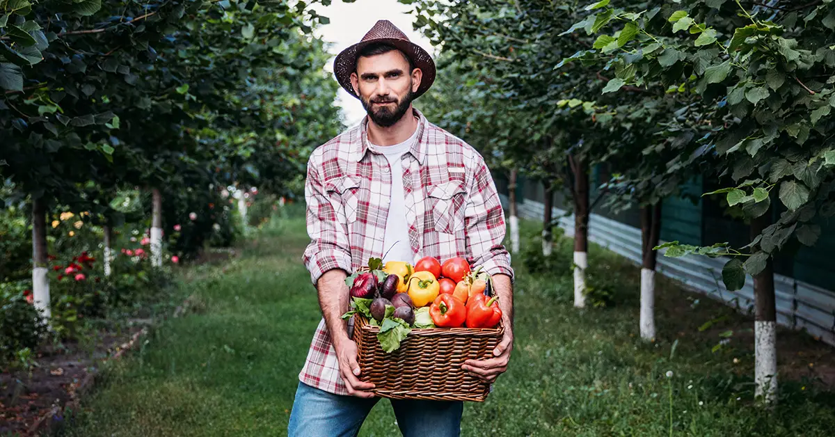 backyard food forest
