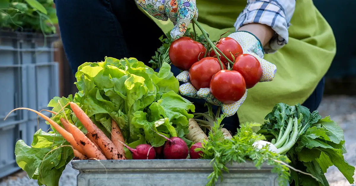 grow food in small space
