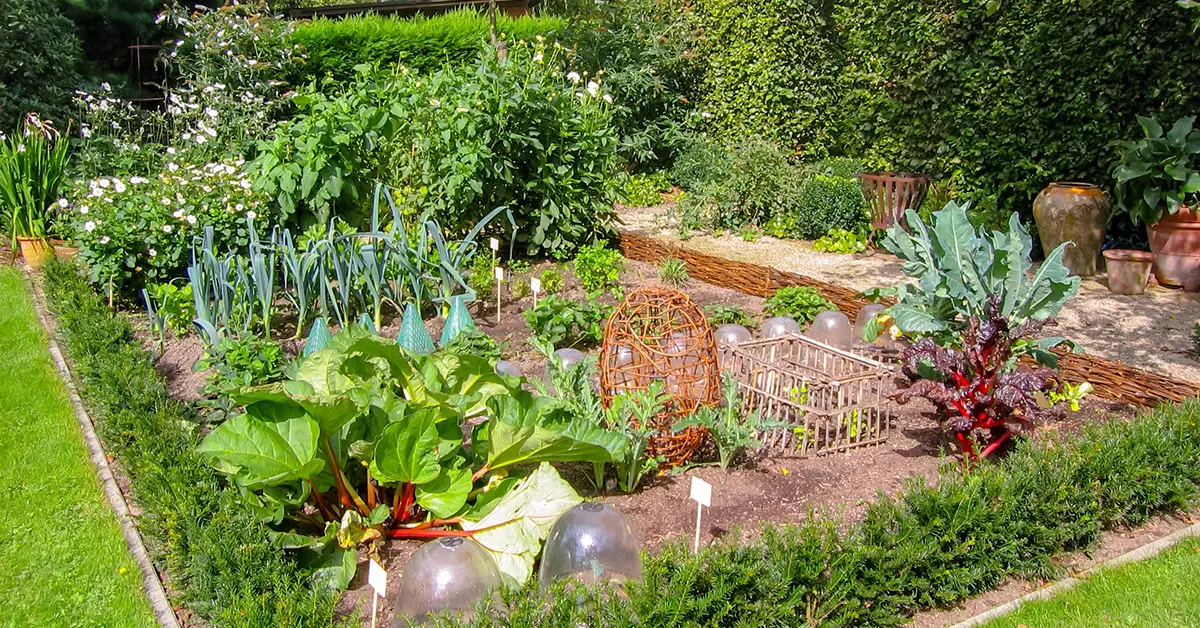 grow or forage your food
