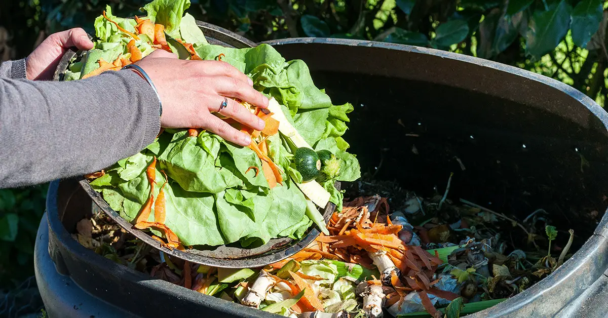 trash can compost
