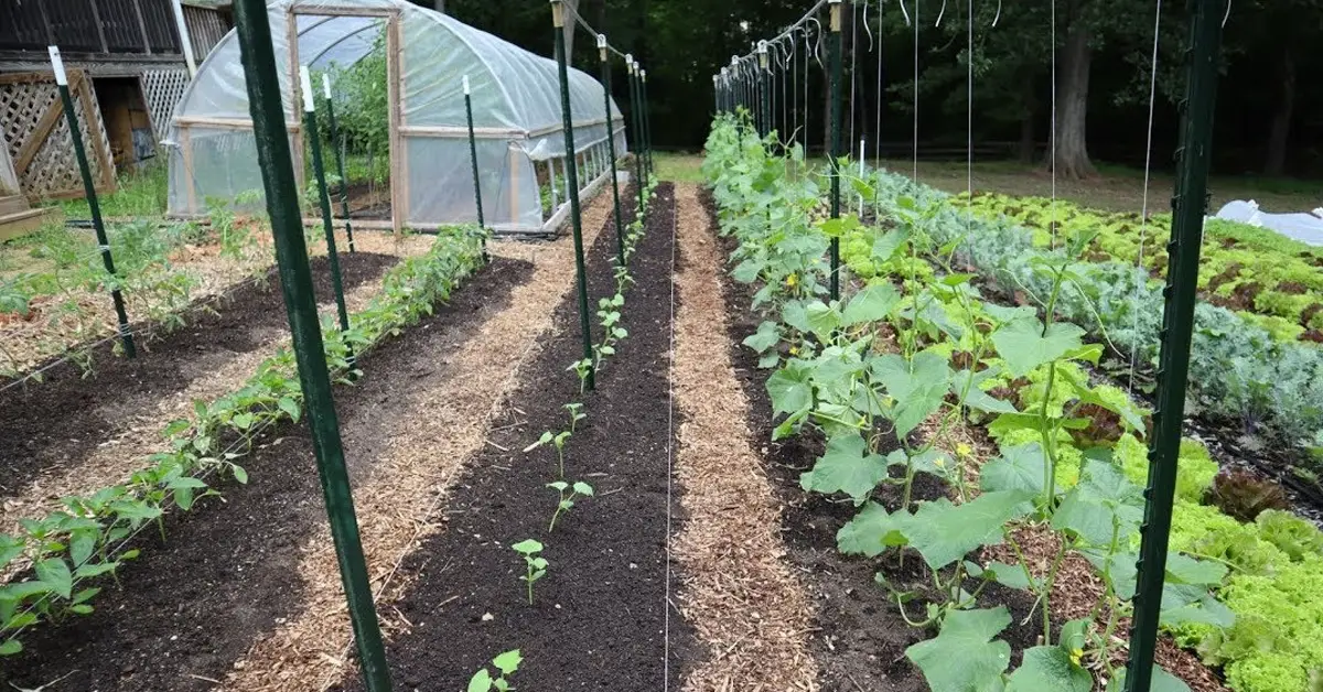 garden trellis system