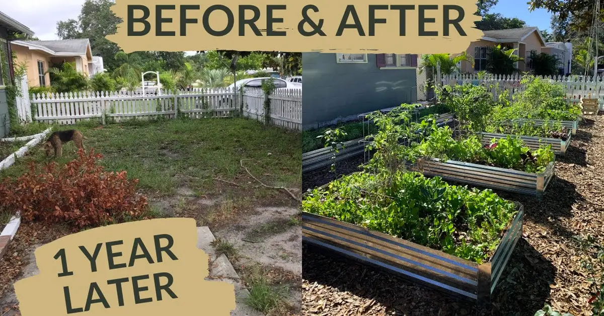 before and after backyard garden