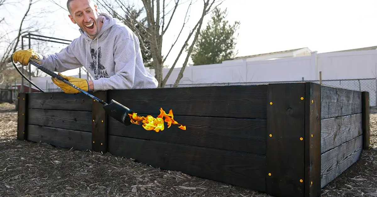 preserving wood