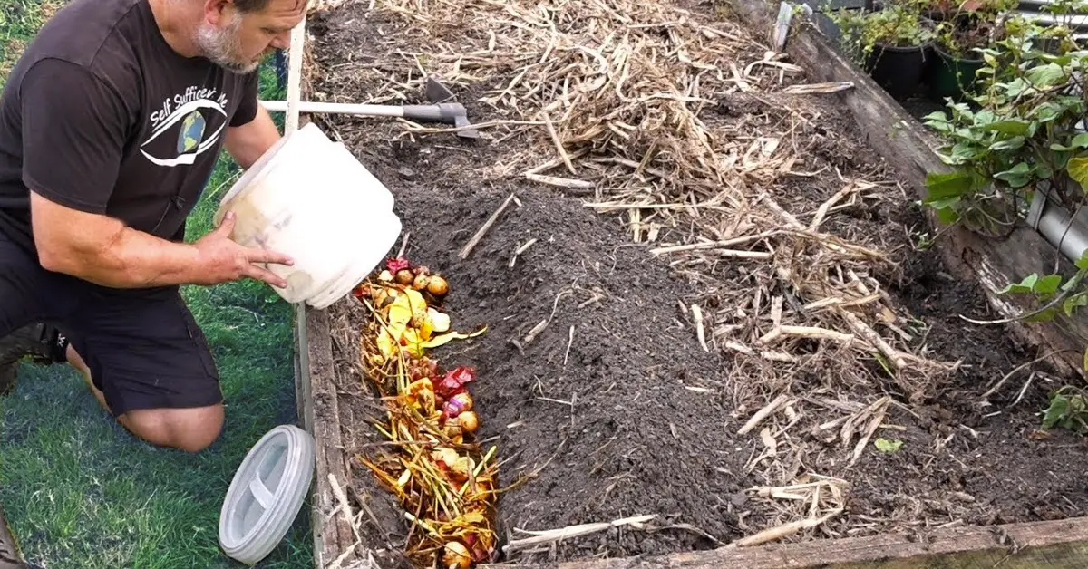 bury kitchen scraps