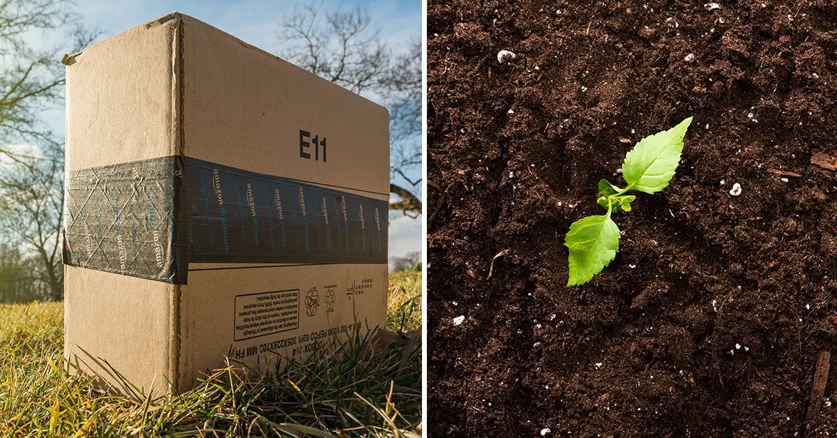 using cardboard in garden