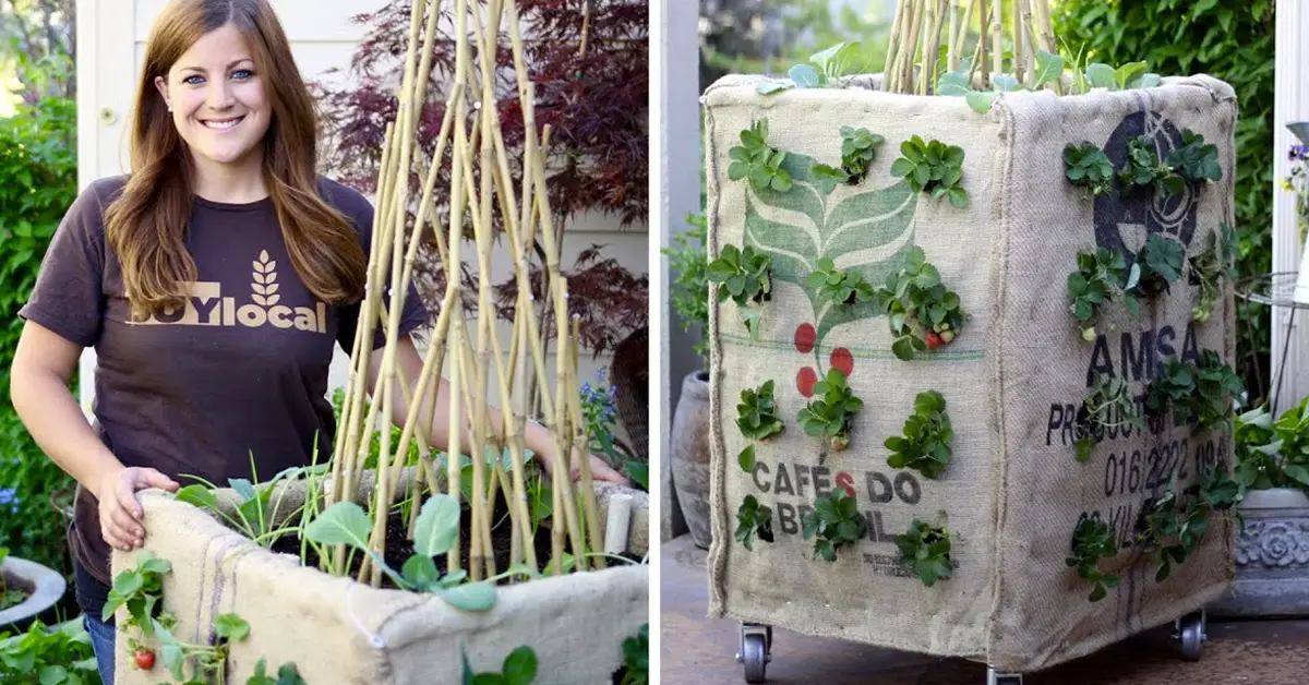 DIY grow box