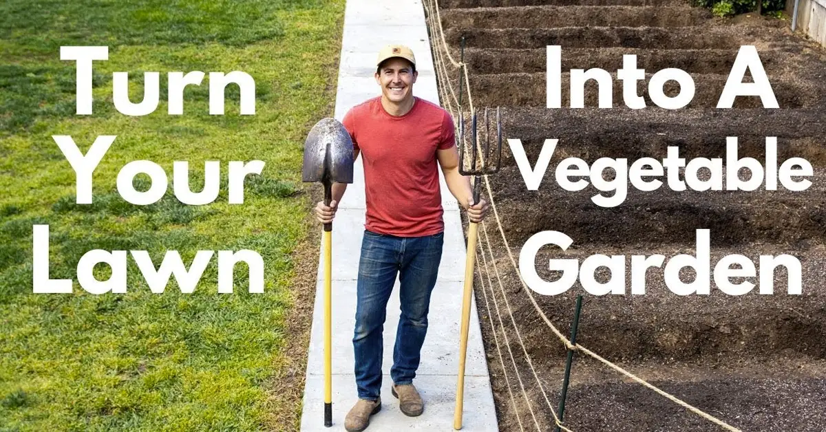 turn lawn into garden