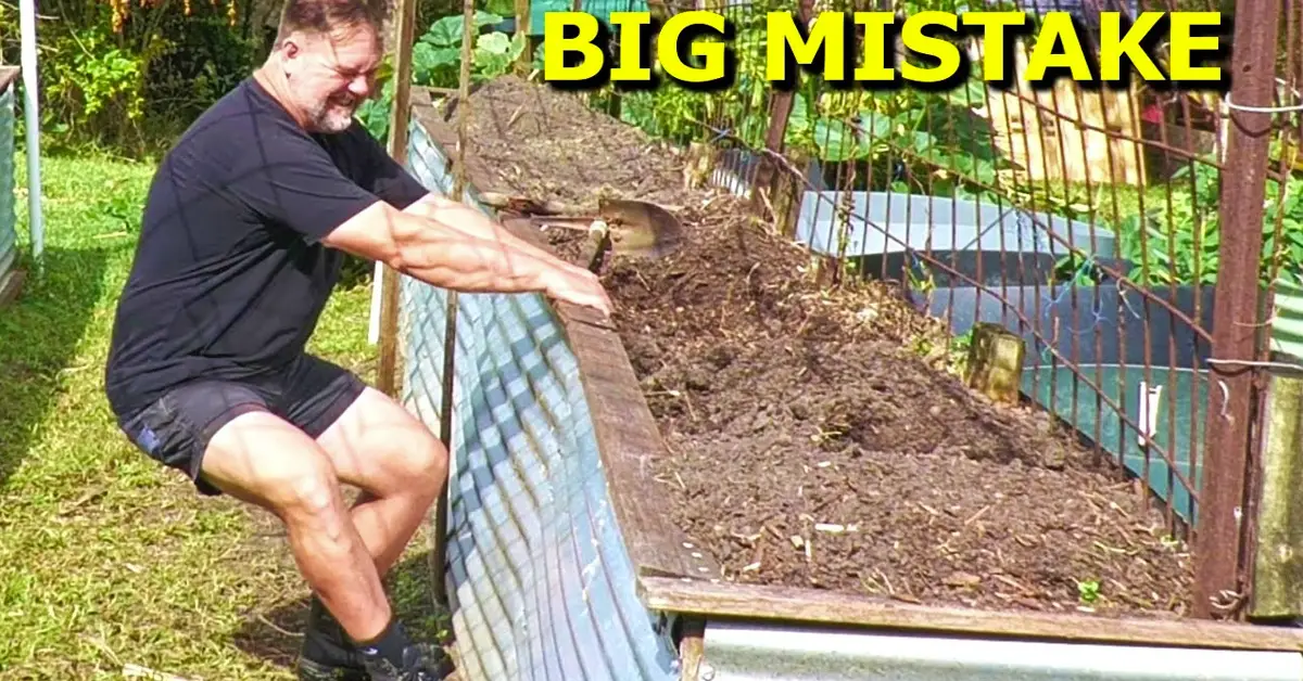 raised bed mistake