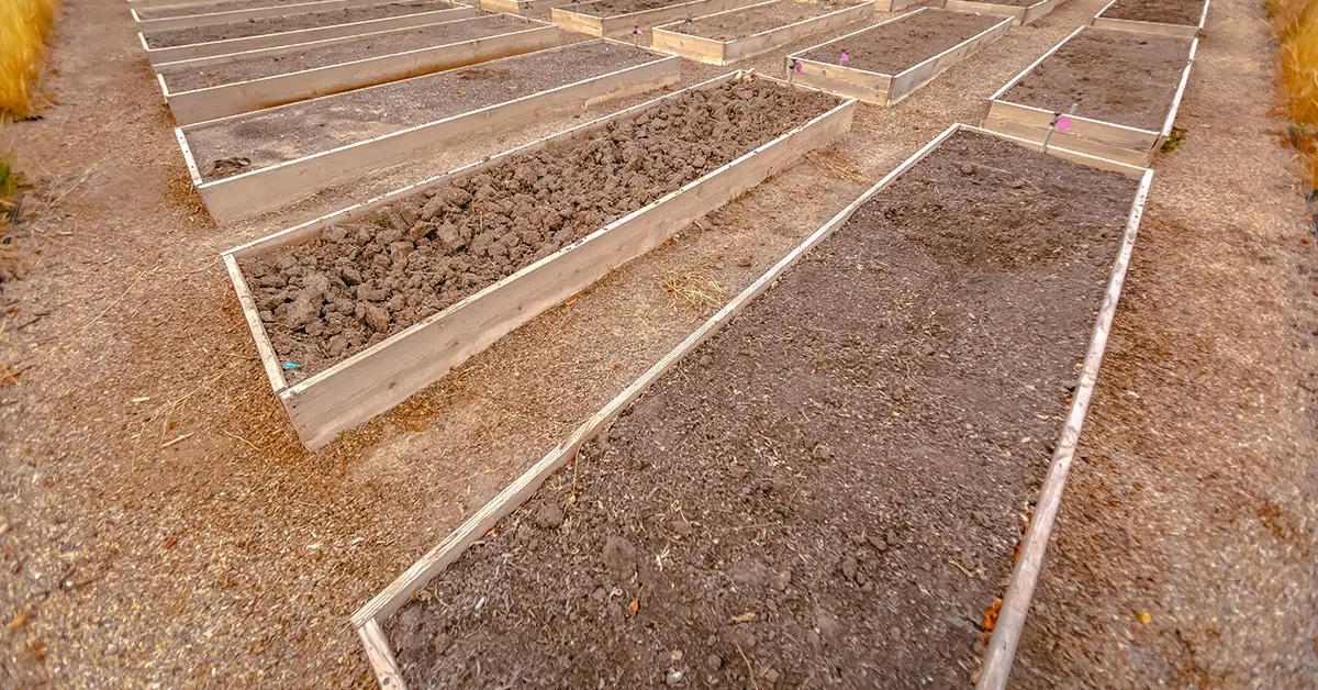 raised garden beds