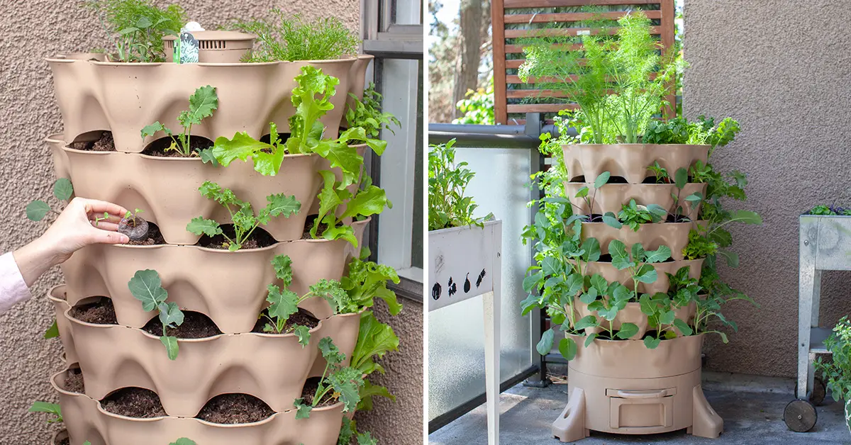 tower garden