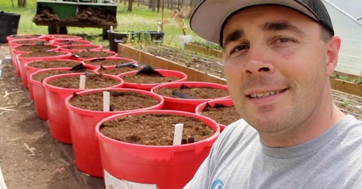 self watering tubs