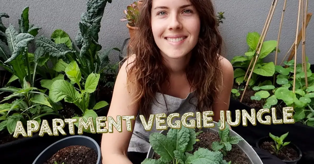 apartment garden