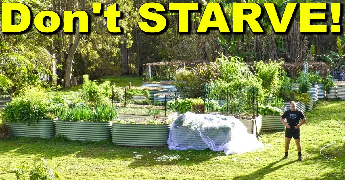 don't starve