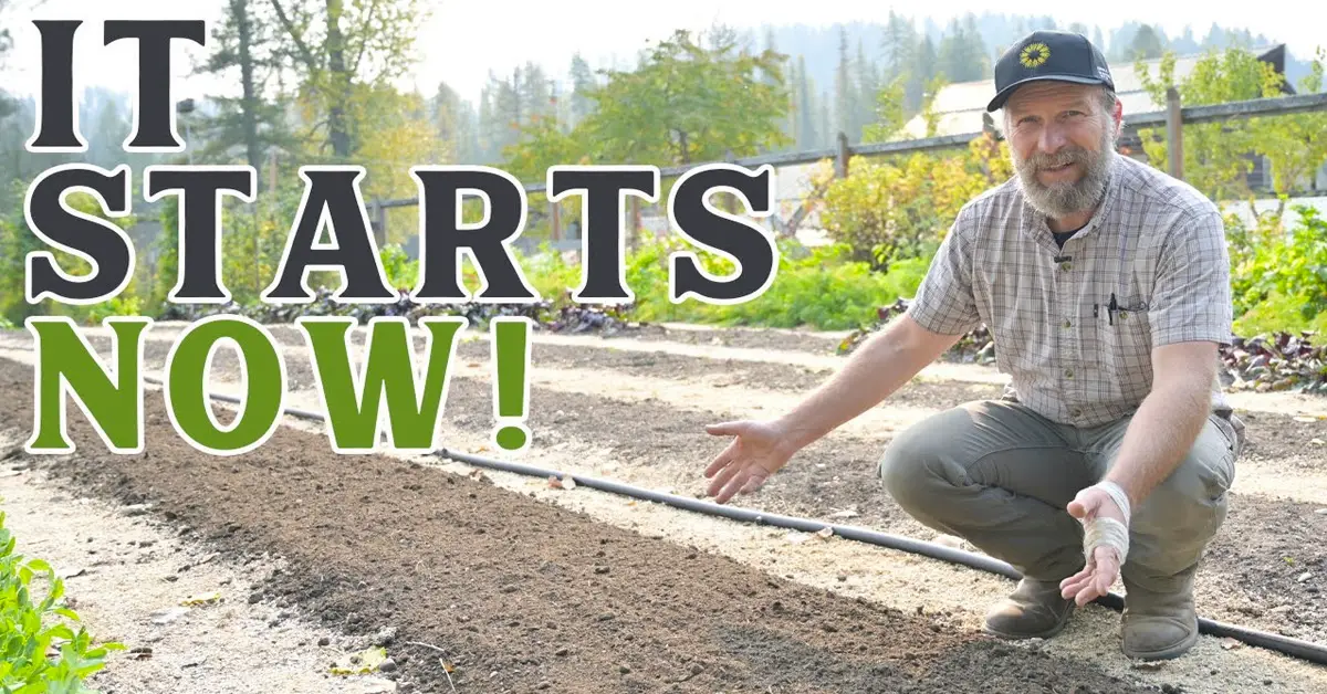 fall garden prep