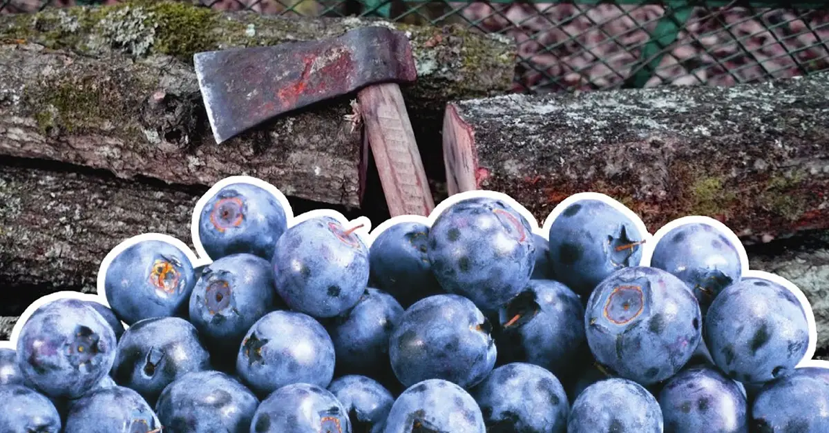 firewood and blueberries