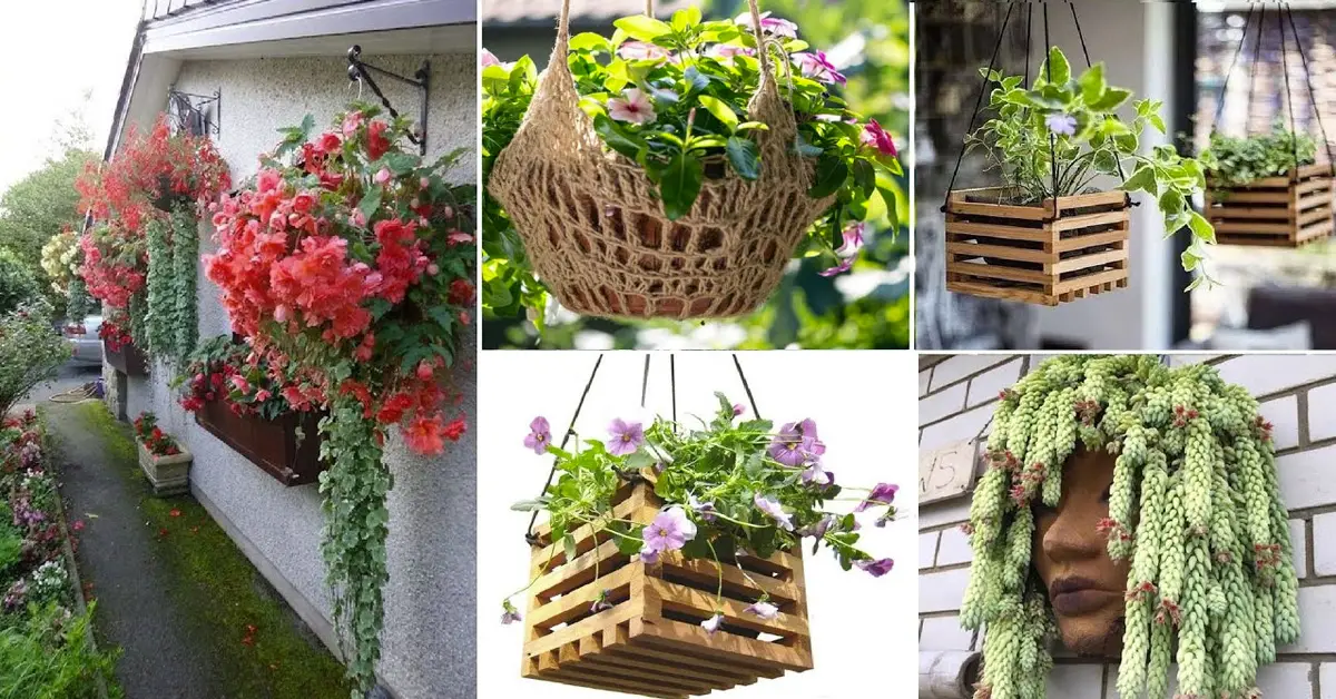 flower containers