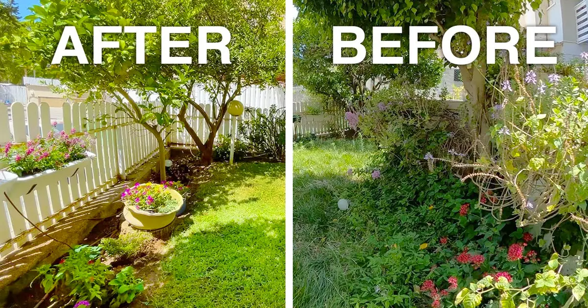 garden makeover