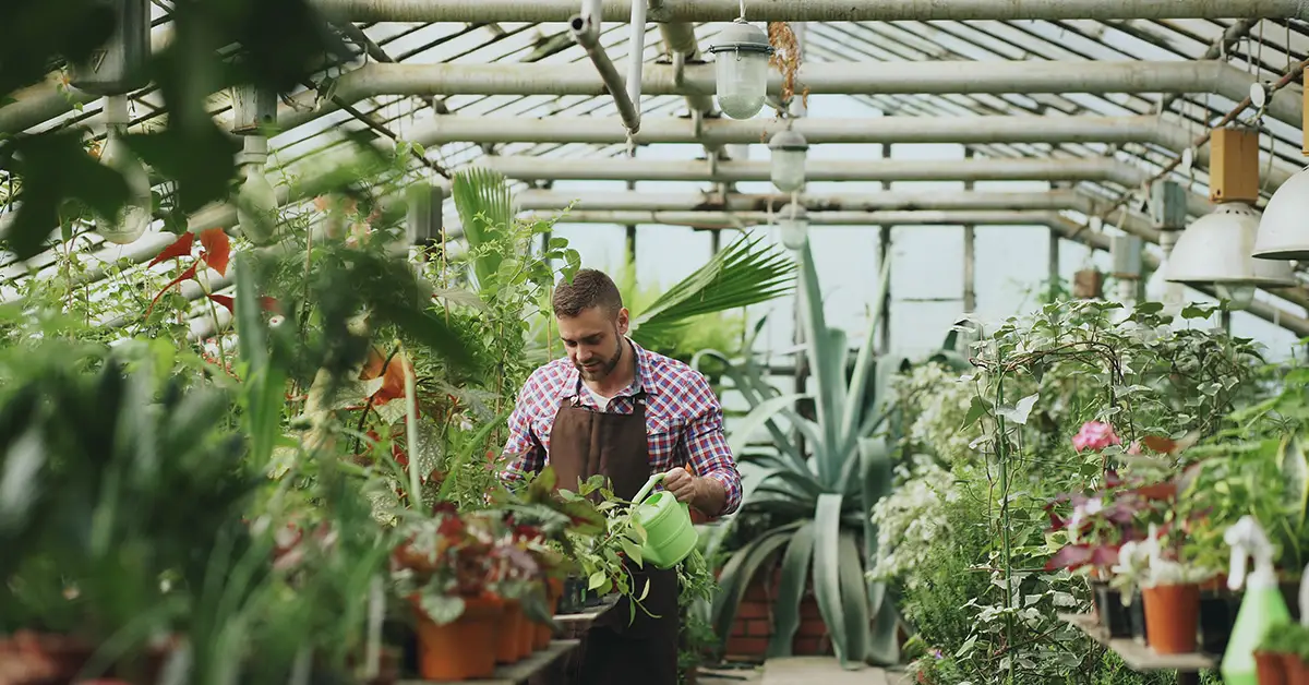 greenhouse