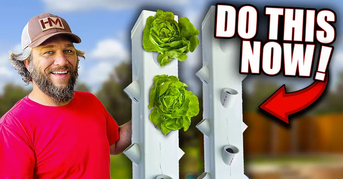 grow tower