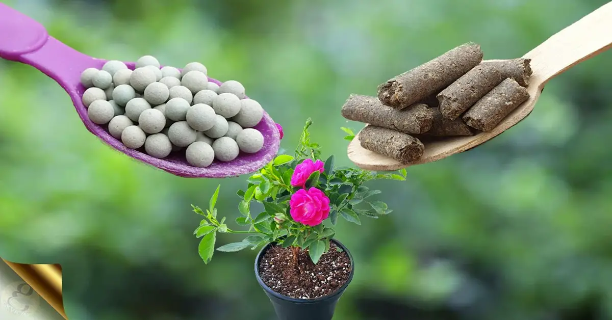 natural fertilizers