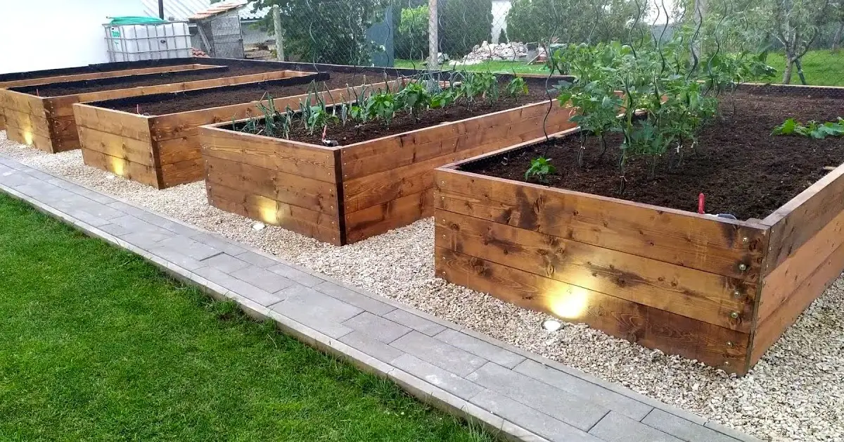 raised garden bed