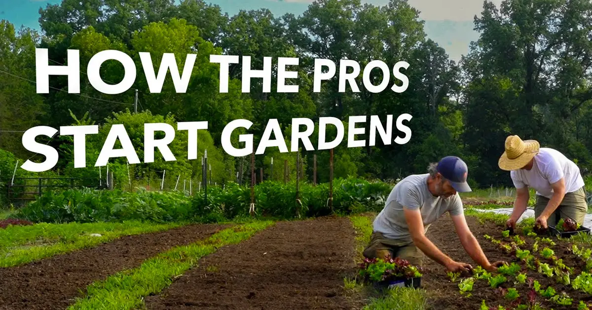 how to start a garden