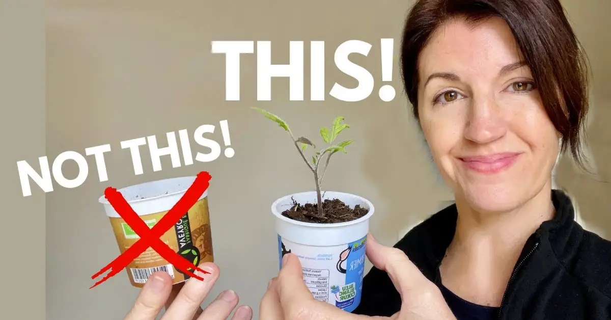 start seeds