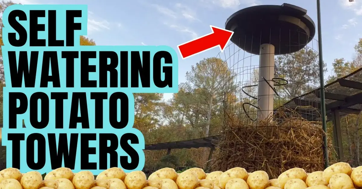 water tower